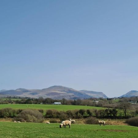 Woodland Shepherds Hut - 'Saga' Caernarfon Exterior foto
